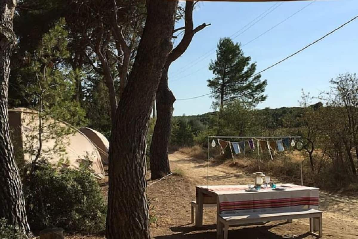 Tent (Syrah) | View from room