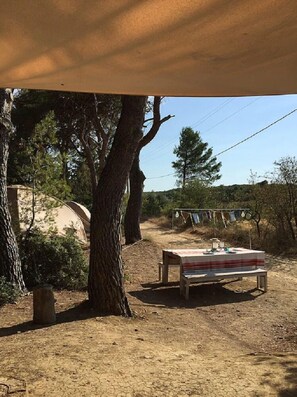 Tent (Syrah) | View from room