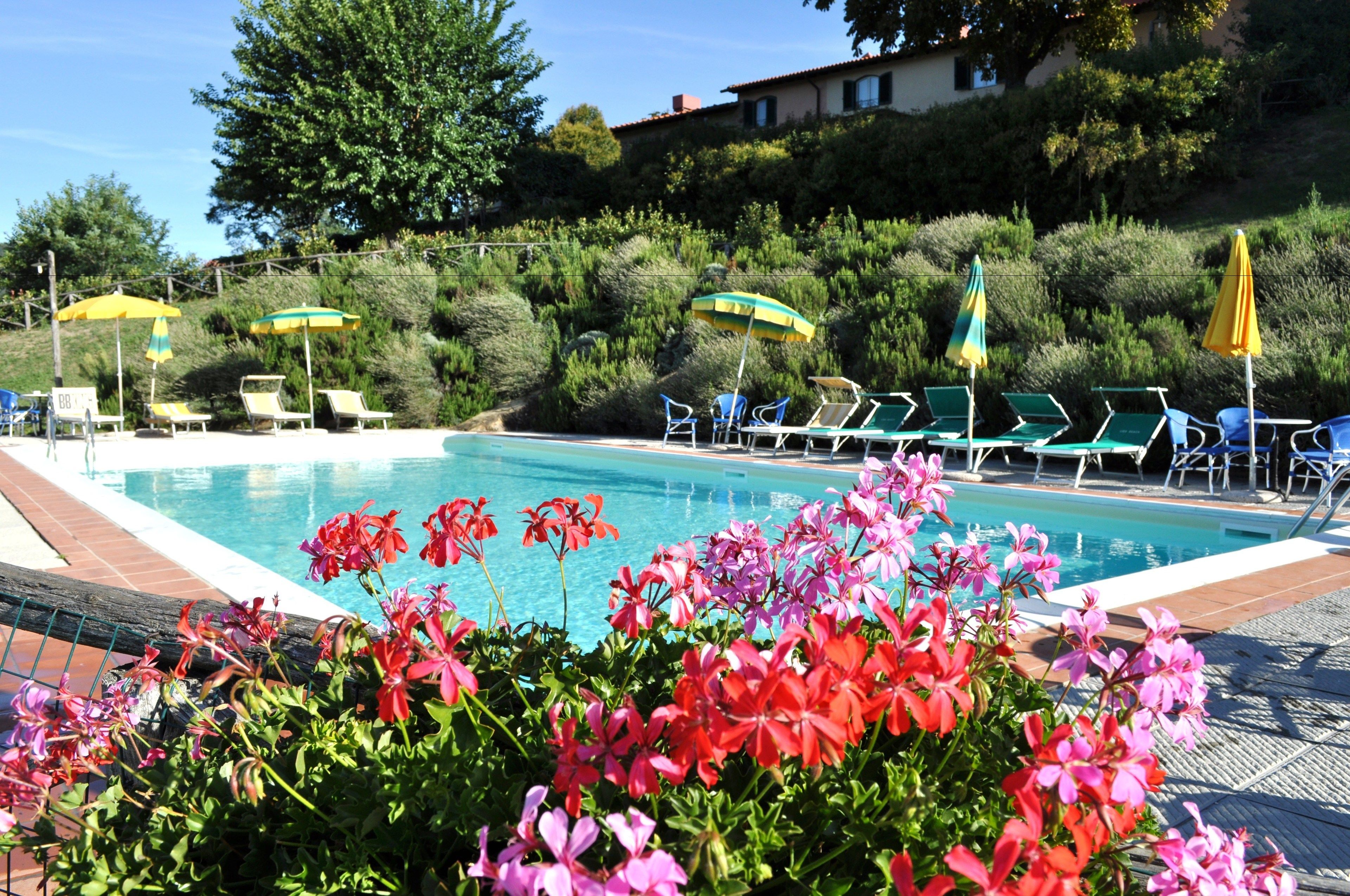 Seasonal outdoor pool, pool loungers