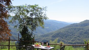 Vista desde la propiedad