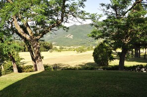 Khuôn viên nơi lưu trú