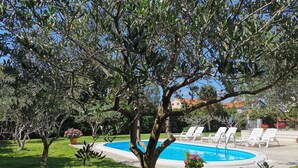 Une piscine entourée d’une végétation luxuriante et de chaises longues blanches.