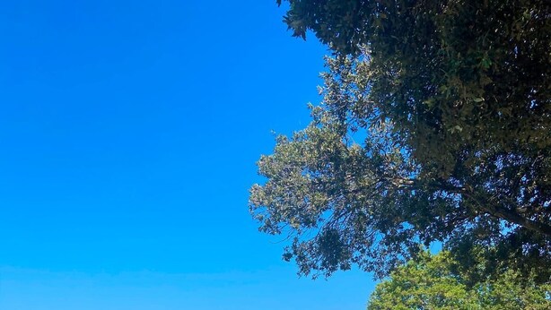 Una playa costera con agua azul cristalina, costa rocosa y abundante vegetación.