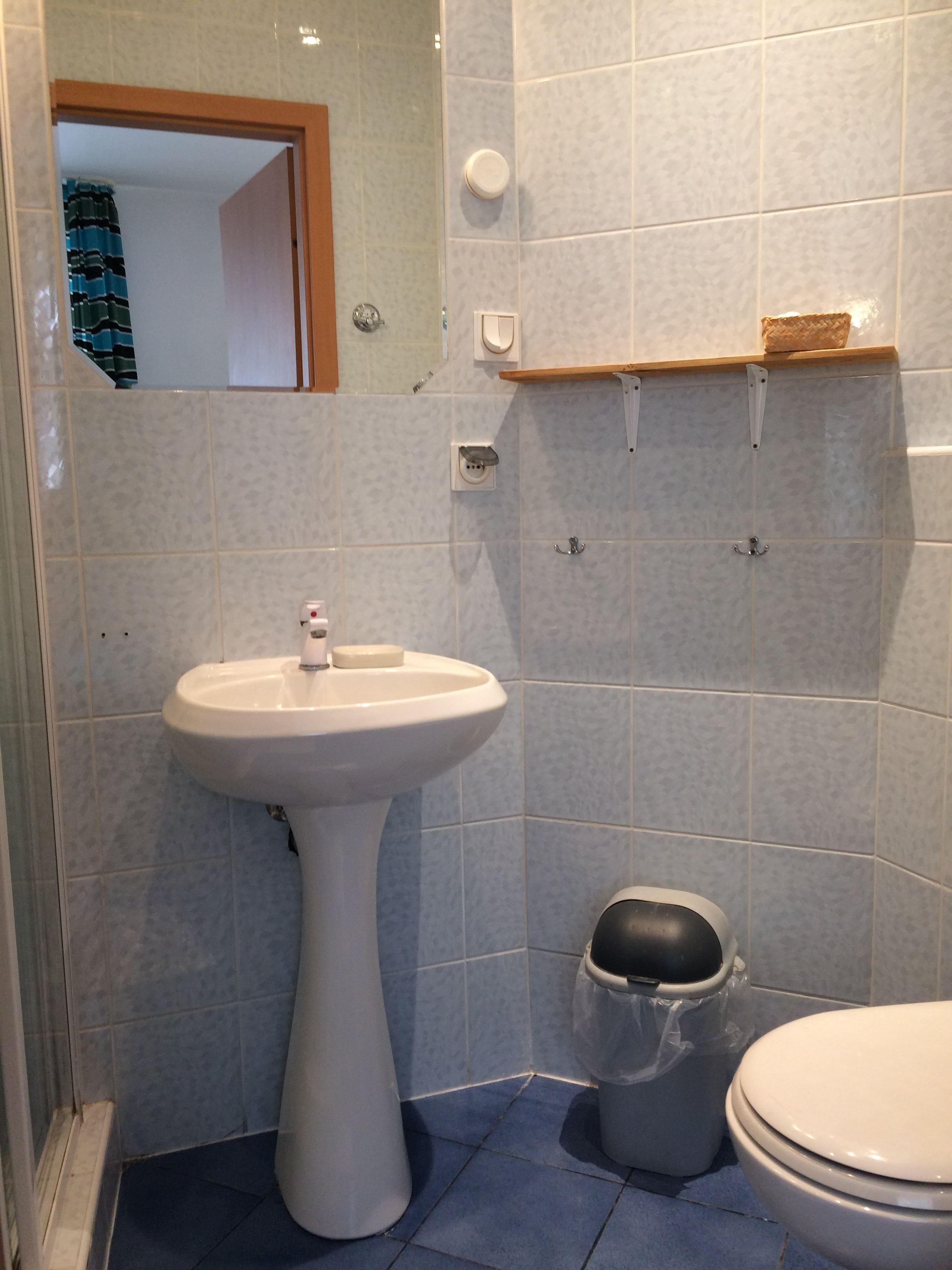 Une salle de bain avec un lavabo sur colonne, des toilettes et une poubelle.