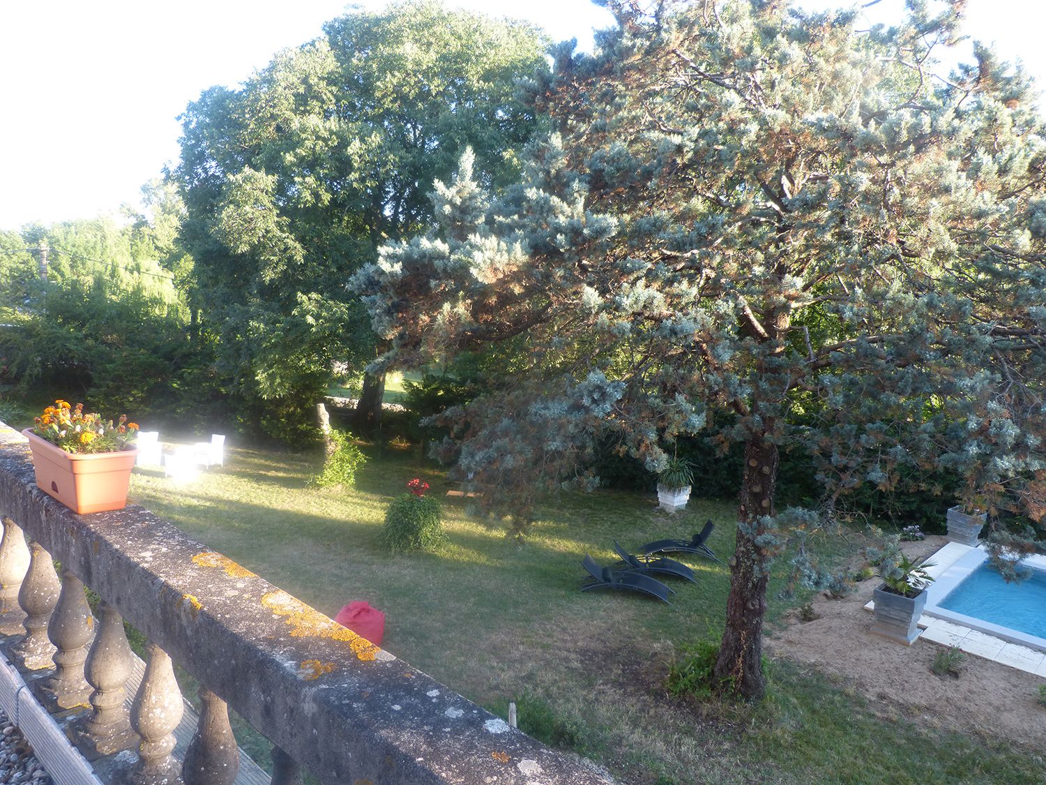 Un jardin avec une piscine, un mur en pierre et différentes espèces de plantes.