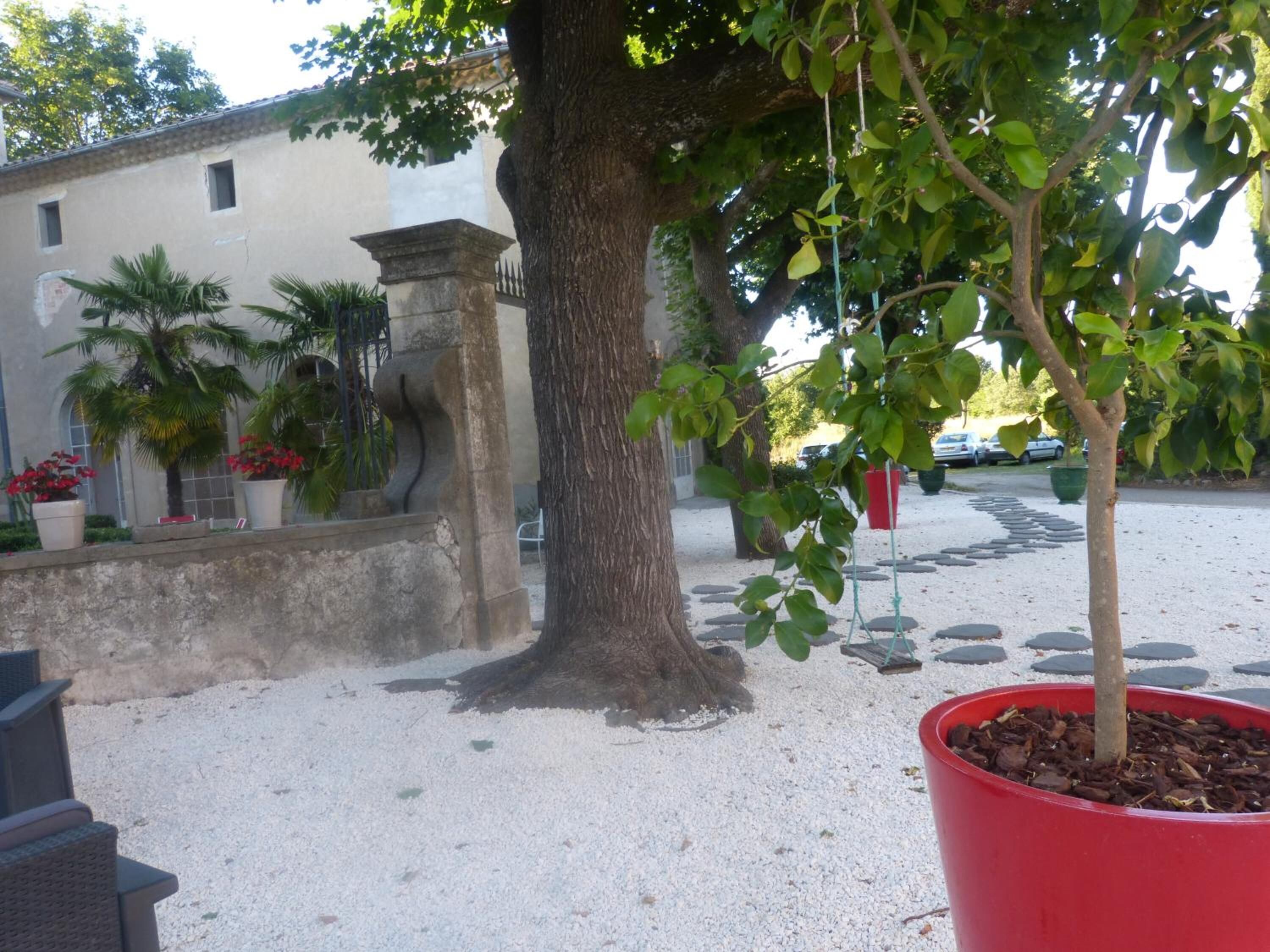 Un árbol con un tronco grueso y una maceta roja en el suelo.