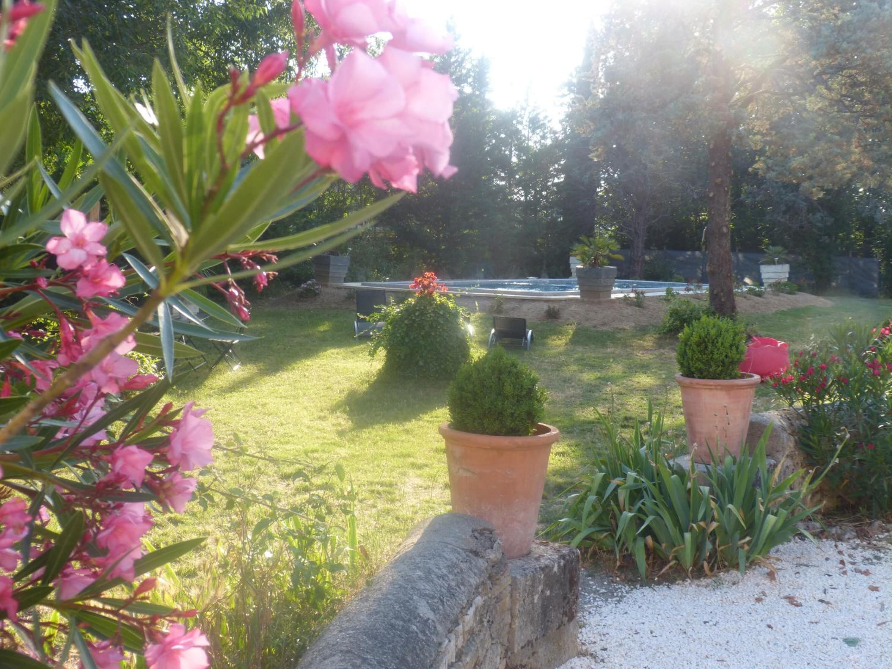 Un jardín con mesa de ping pong, plantas en macetas y un muro de piedra.
