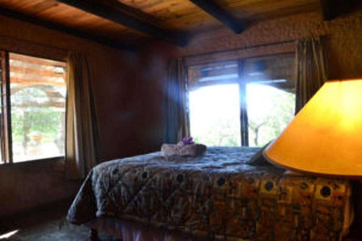 A room with a bed, a lamp, and a window with curtains.