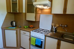Apartment | Private kitchen - Apartament BB Czarny Potok (Krynica-Zdroj)