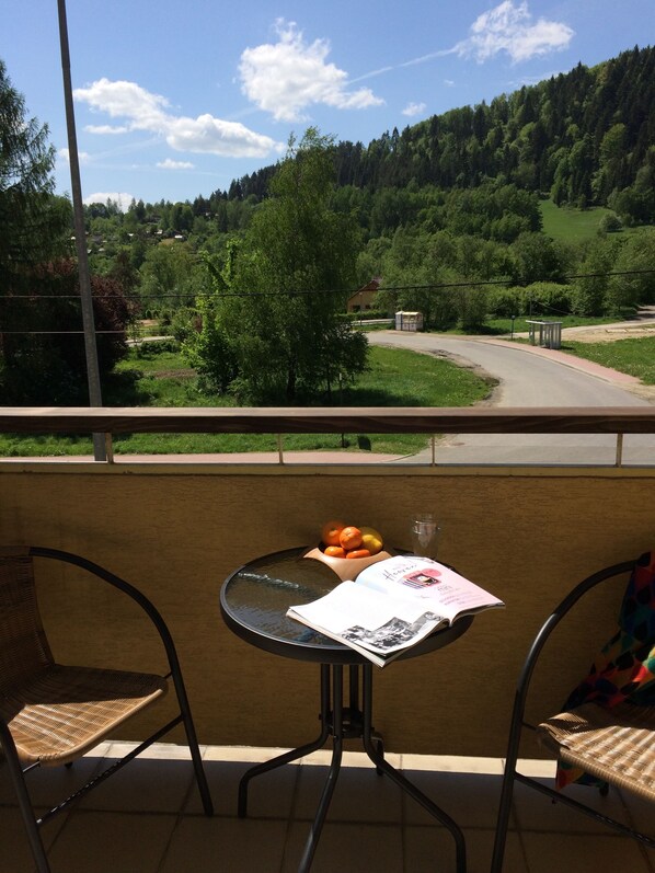 Vue sur les montagnes