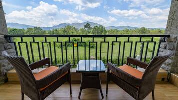 Deluxe Room | View from room