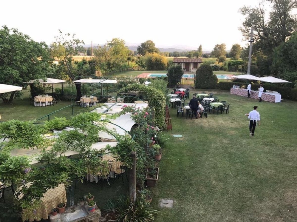 Outdoor wedding area