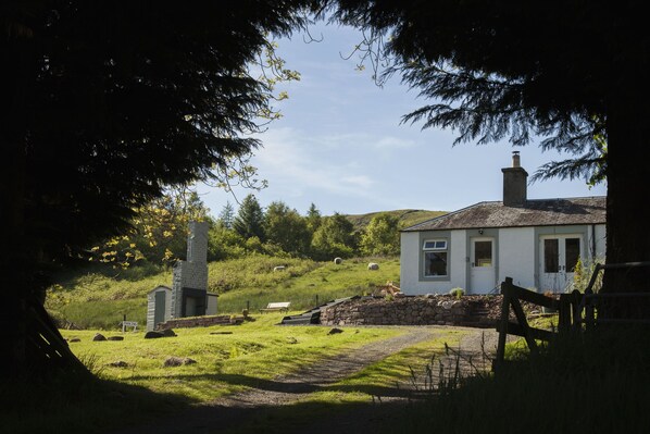 A white house with a stone chimney, a stone structure, and a grassy area with sheep. - Brae Cottage (Crieff)