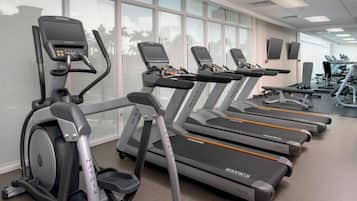 A row of treadmills in a gym with large windows and a view of palm trees.