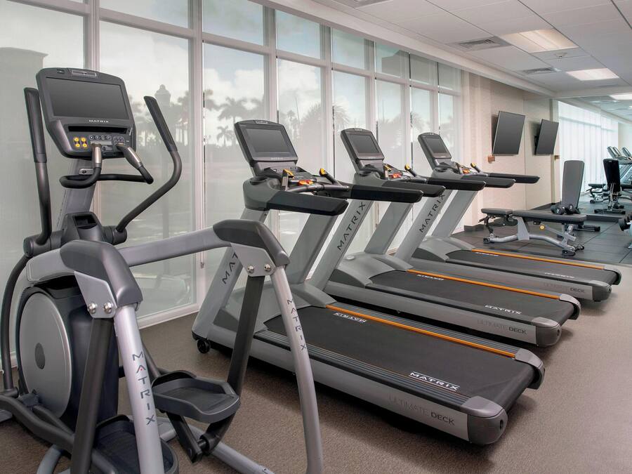 A row of treadmills in a gym with large windows and a view of palm trees.