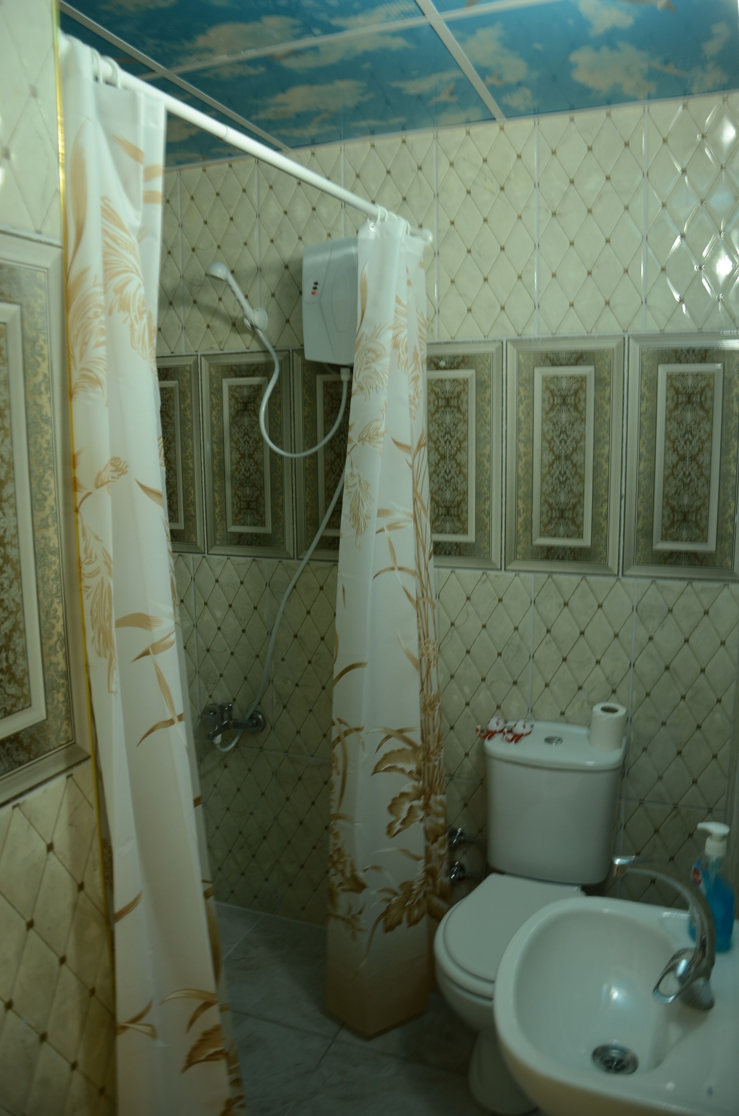 Photo - Hotel Alyans