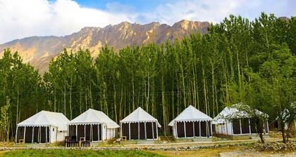 Ladakh Tarrain Camp