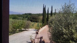 A view of a rural landscape with trees and a clear sky. - Gli Archi (Fauglia)
