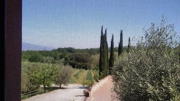 Vistas desde el alojamiento