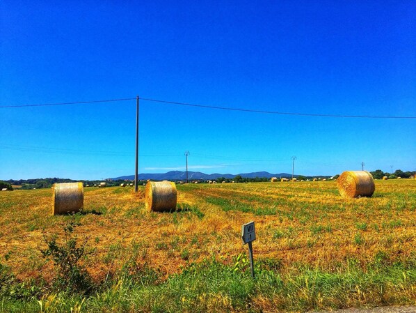 A rural landscape with hay bales and a clear blue sky. - Gli Archi (Fauglia)