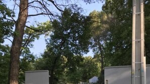 Uklassifisert bilde, 5 av 52, knapp