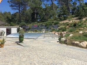 Alberca techada, camas balinesas gratuitas y sombrillas en la alberca