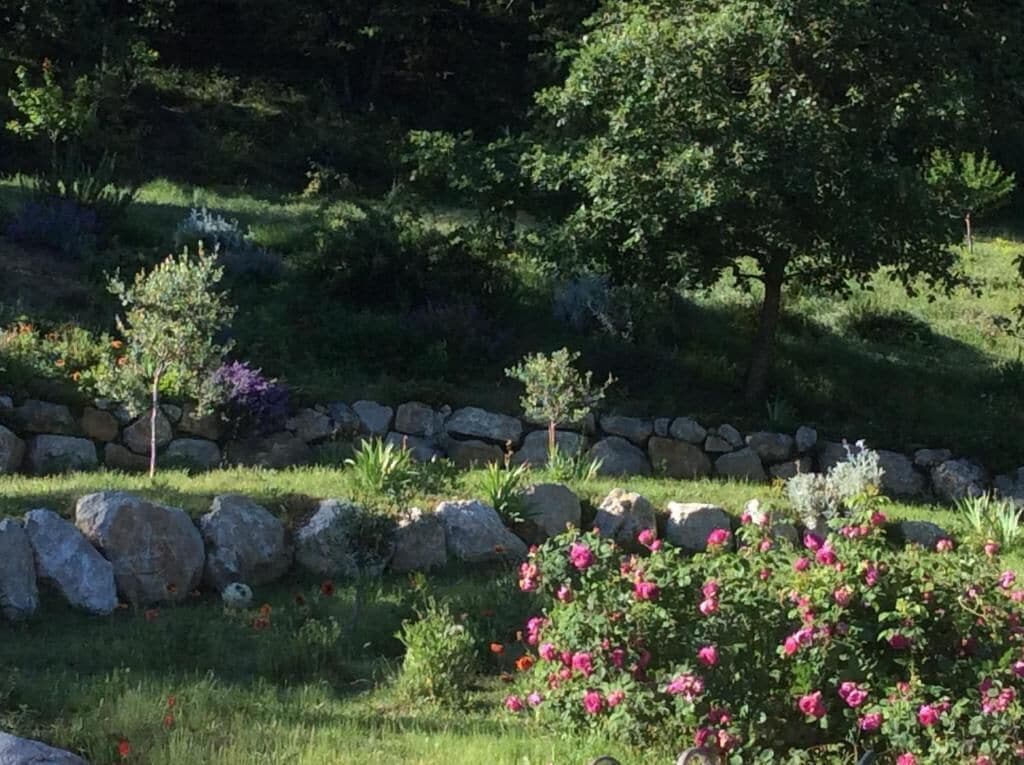 A garden with a stone wall, various plants, and a tree.