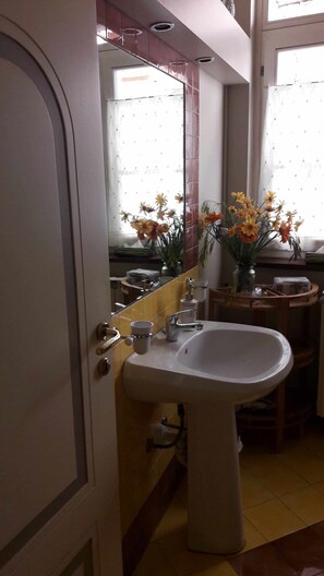 Studiosuite – deluxe, tekjøkken | Bad | Dusj, toalettartikler (inkludert), hårføner og badekåper