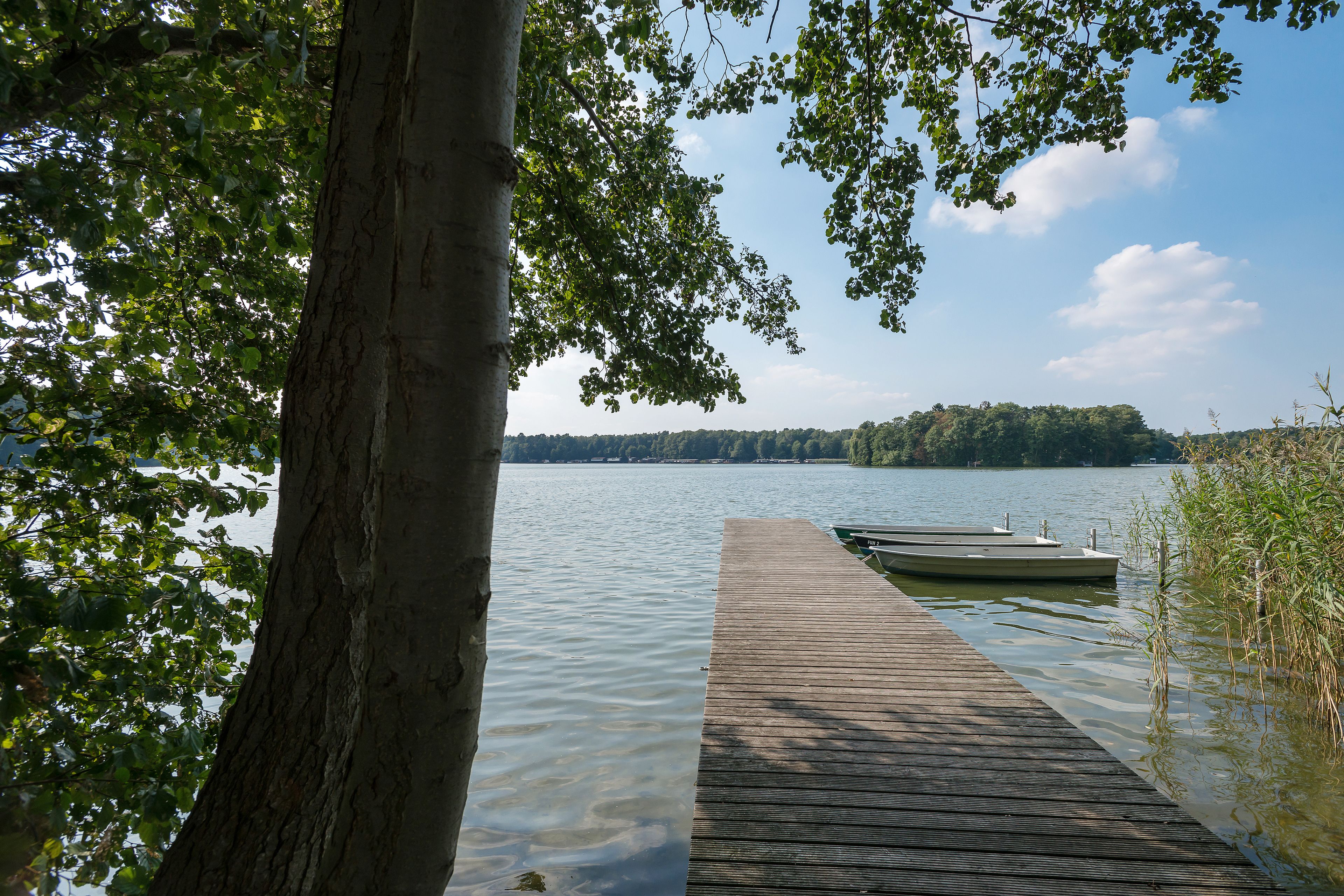 A wooden dock extending into calm water, surrounded by trees and a distant forested area.
