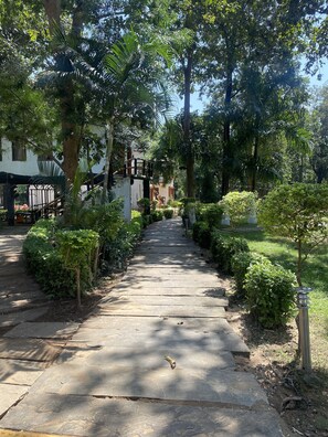 Escalade en plein air