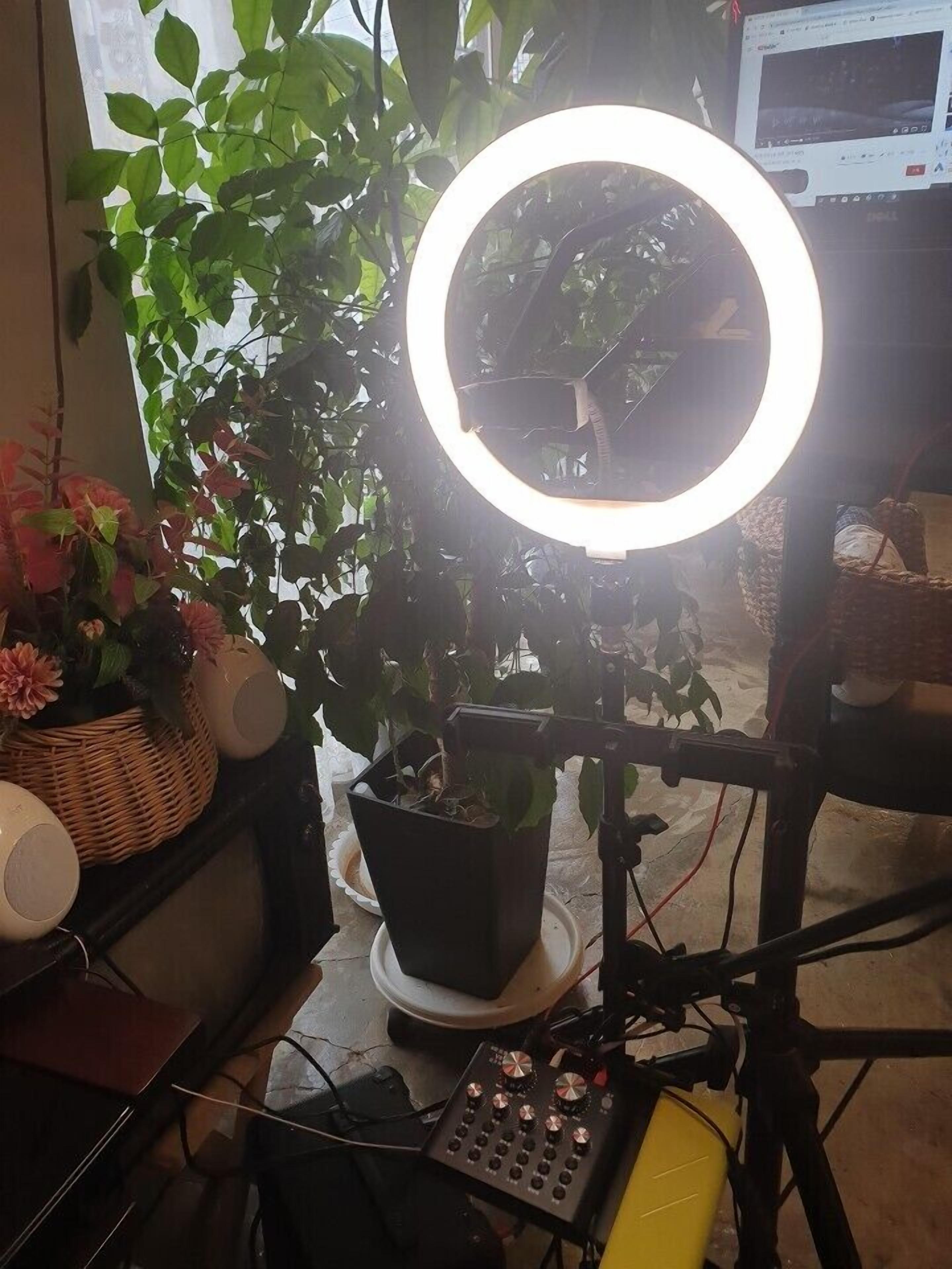 A room with a ring light, a potted plant, a speaker, and a control panel.