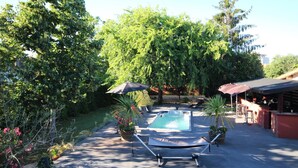 Un jardin avec une piscine, des chaises longues et des parasols.