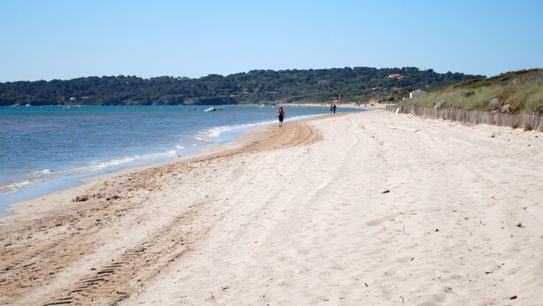 Una playa arenosa con una valla de madera y una colina boscosa al fondo.