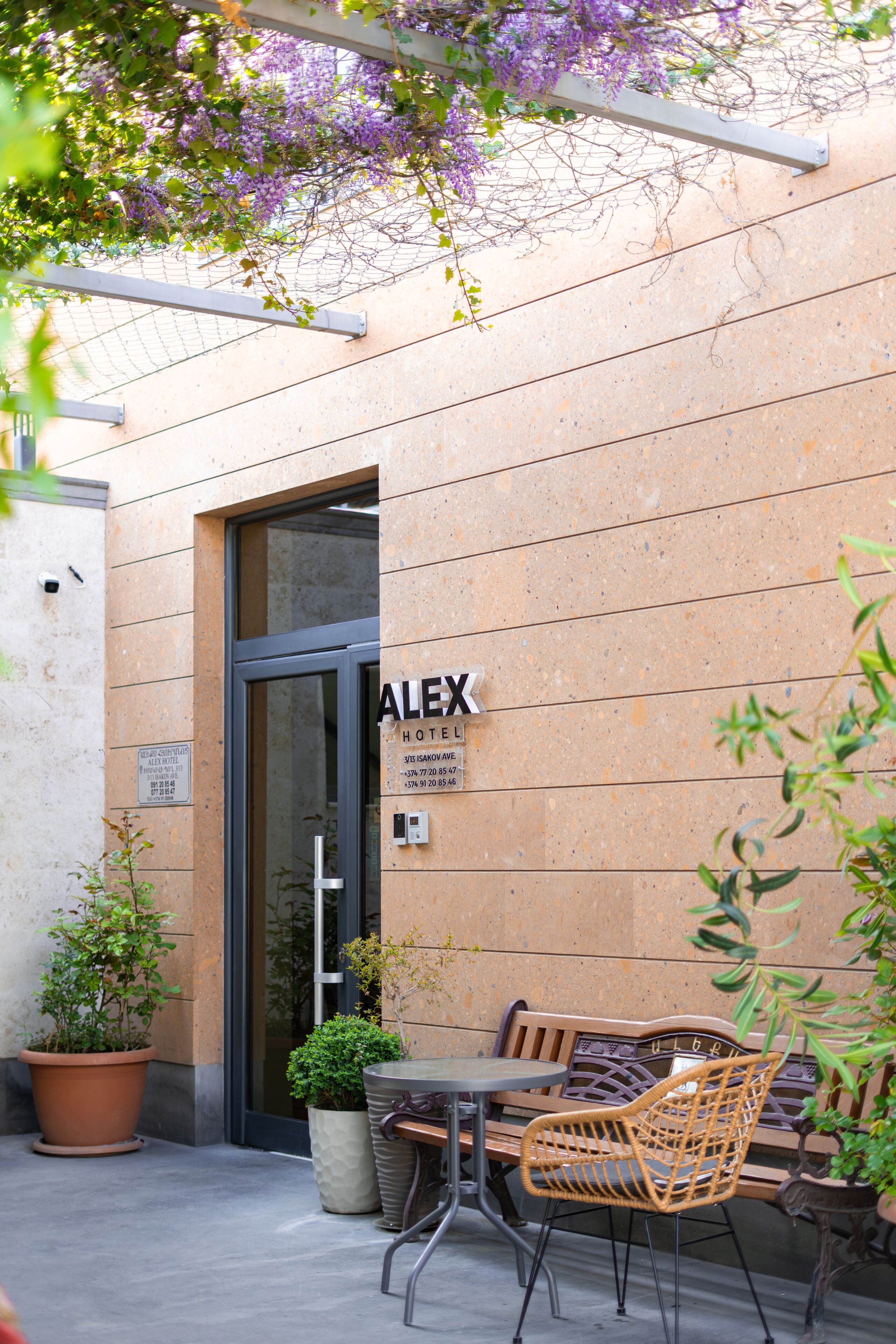 A hotel entrance with a sign reading 'ALEX HOTEL,' outdoor seating with chairs and tables, and potted plants.