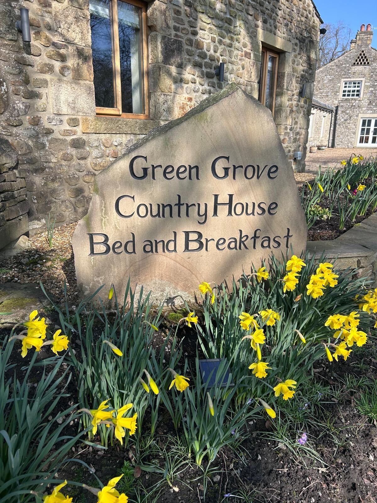 Un letrero de piedra con la inscripción 'Green Grove Country House Bed and Breakfast', rodeado de narcisos.