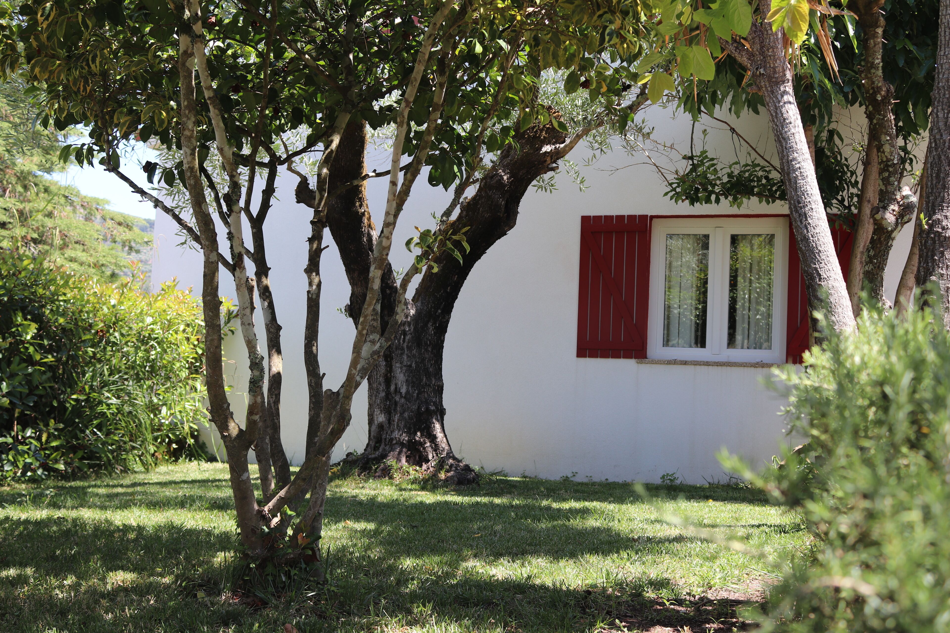 Foto - Quinta da Pousada