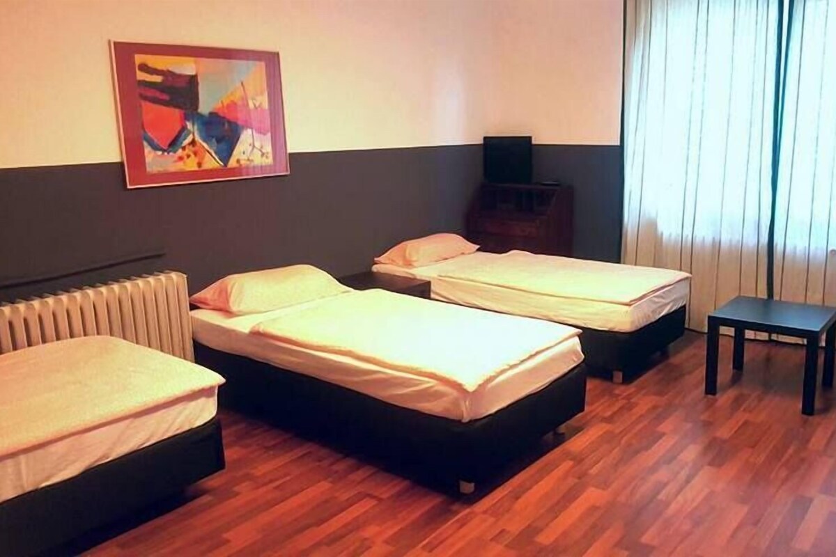 Basic Triple Room | Iron/ironing board, rollaway beds, free WiFi, bed sheets