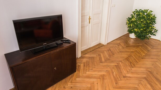 A wooden herringbone floor, a dark wooden cabinet with a flat-screen TV and remote controls, and a potted plant with yellow leaves. - Central Retro Apartment (Prague)