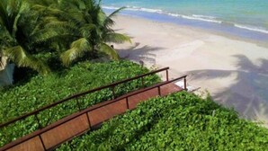 A beach with a wooden walkway leading to the shore, surrounded by lush greenery and palm trees. - Pousada Polymar (Maragogi)