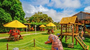 A playground with a wooden playhouse, a seahorse sculpture, and a tortoise sculpture. - Pousada Polymar (Maragogi)