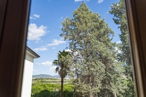 A view of a tall pine tree and a palm tree in a natural setting. - Masseria La Sterpina (Mottola)