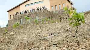Un edificio de fachada de piedra y un grupo de personas en el nivel superior.