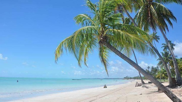 A beach with clear turquoise water, palm trees, and a sandy shore. - Pousada Marbello (Maragogi)