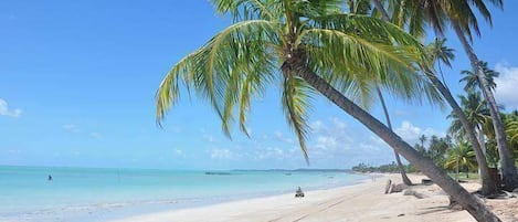 Vlak bij het strand