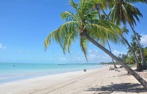 A beach with clear turquoise water, palm trees, and a sandy shore. - Pousada Marbello (Maragogi)