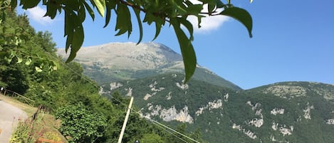 Habitación cuádruple clásica, varias camas, para fumadores | Alberca al aire libre | Alberca al aire libre por temporada 