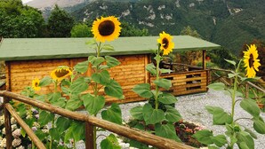 A wooden cabin with a green roof, surrounded by a gravel path and various plants. - B&B Lao (Papasidero)