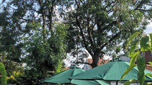 A garden with a white picket fence, a wooden deck, and green umbrellas. - Oxford Guest House (Oxford)
