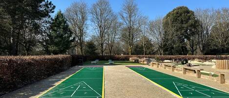 A shuffleboard court with green and purple markings, benches, and trees in the background.