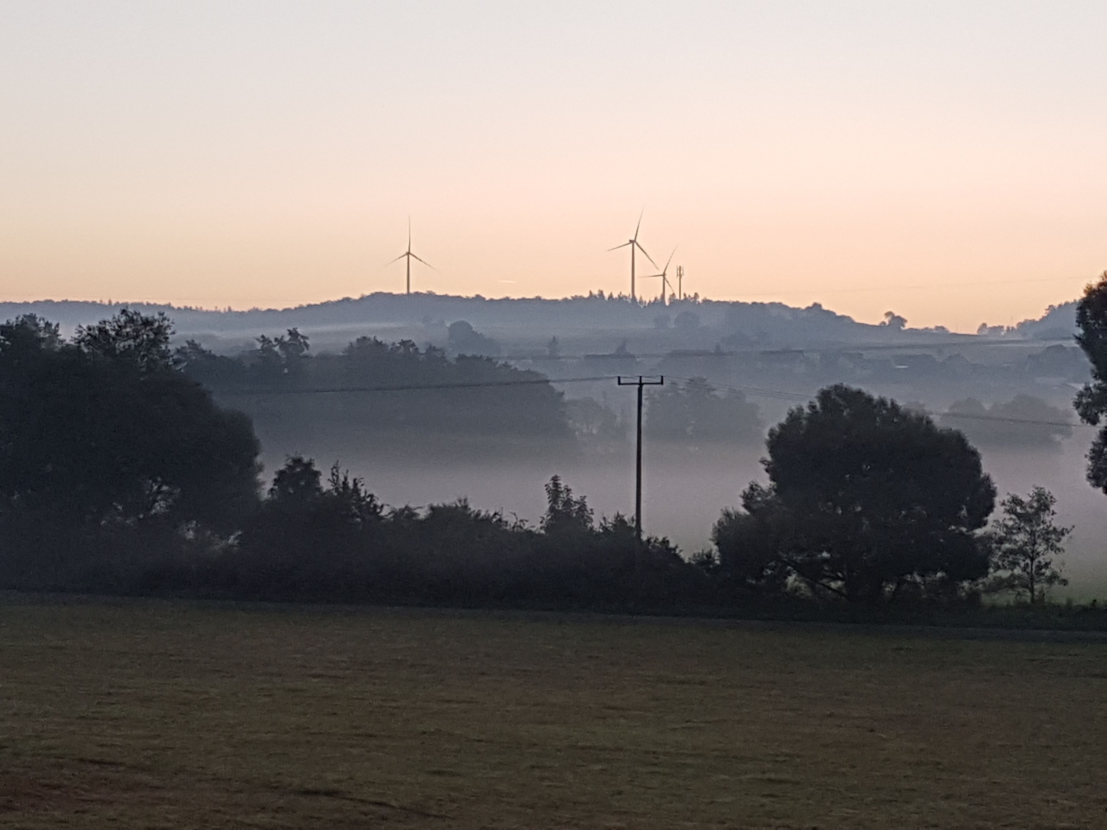 A rural landscape with wind turbines and a misty field.